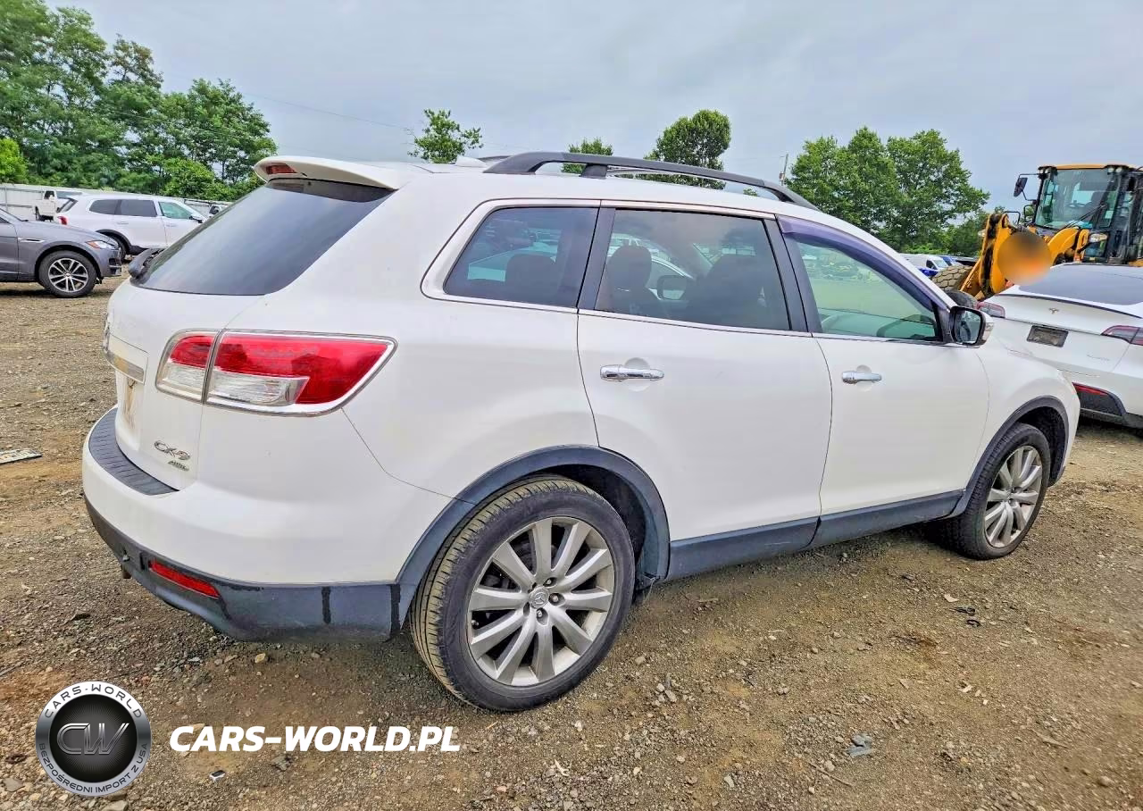 2009 Mazda Cx-9 VIN:JM3TB38VX90174980 - 3