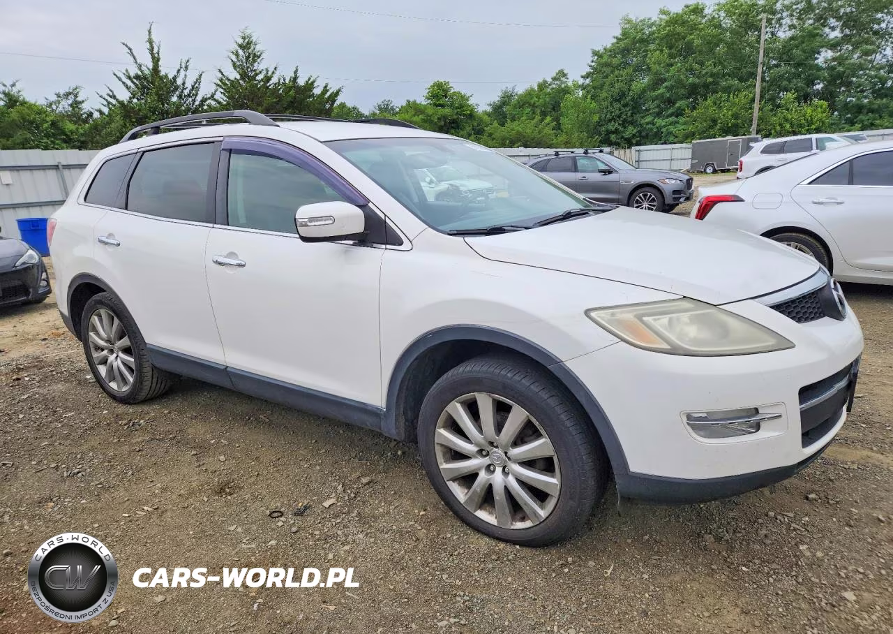 2009 Mazda Cx-9 VIN:JM3TB38VX90174980 - 4