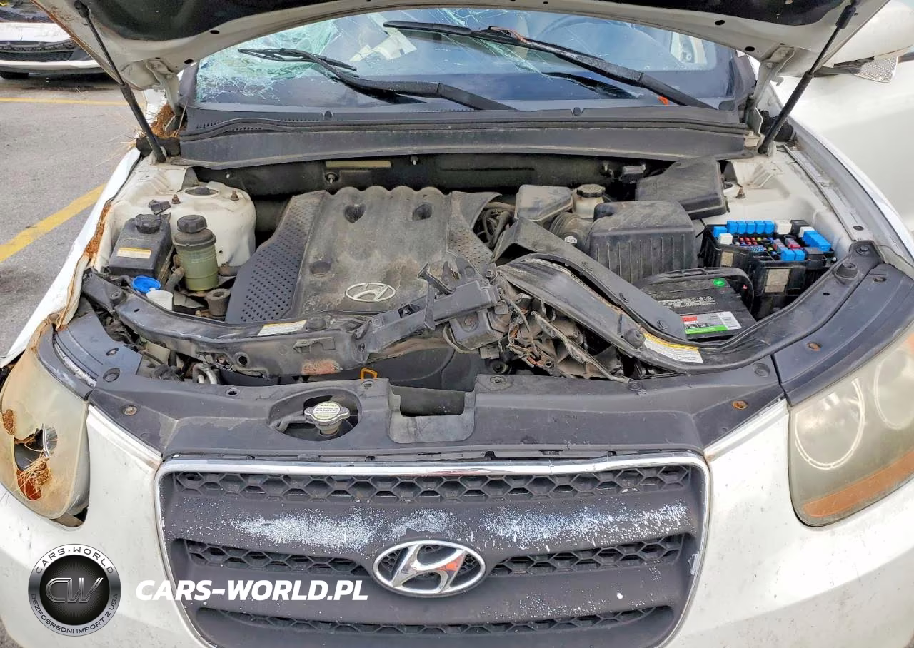 2007 Hyundai Santa Fe Gls VIN:5NMSG13D67H087549 - 12