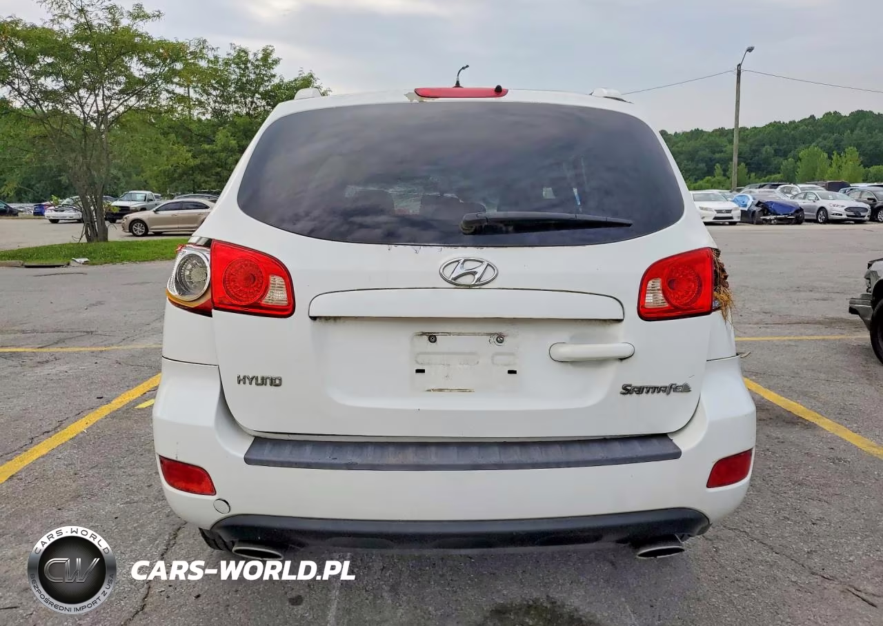 2007 Hyundai Santa Fe Gls VIN:5NMSG13D67H087549 - 6