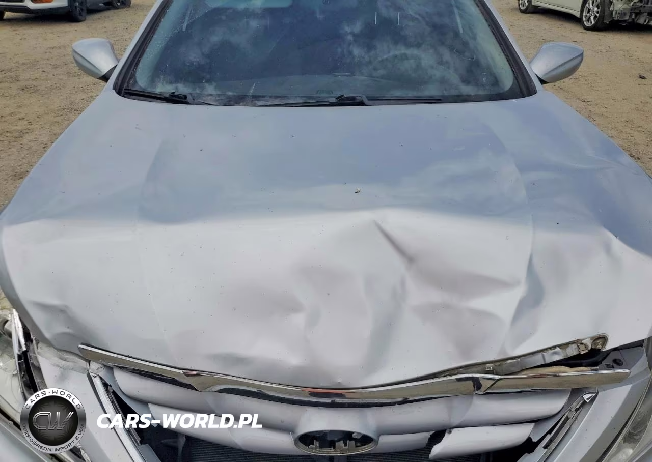2013 Hyundai Sonata Gls VIN:5NPEB4AC0DH771969 - 11