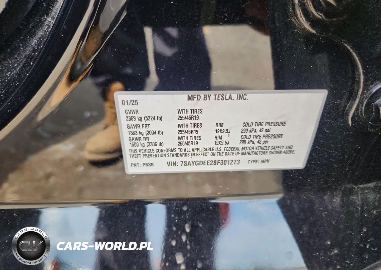 2025 Tesla Model Y VIN:7SAYGDEE2SF301273 - 12