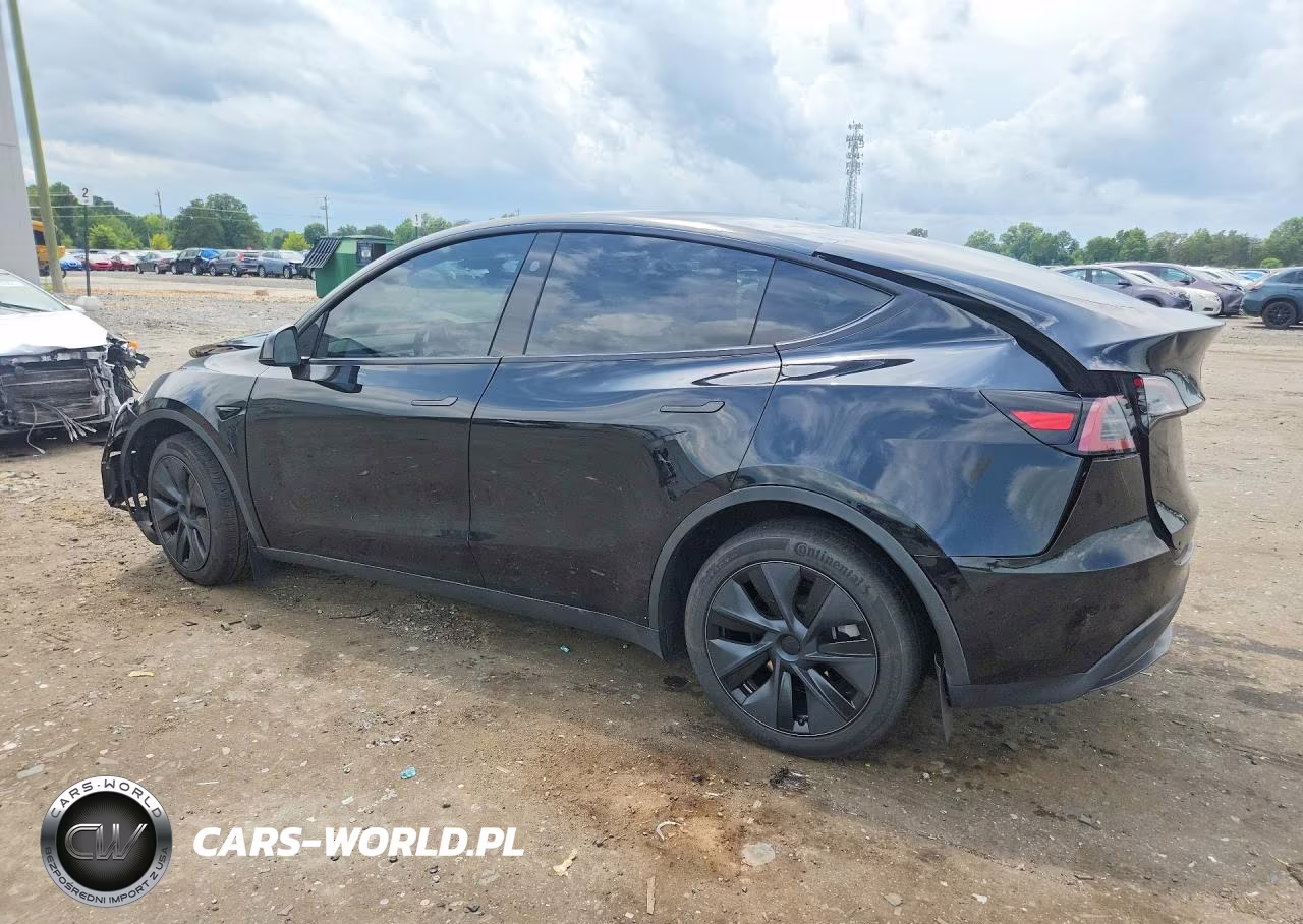 2025 Tesla Model Y VIN:7SAYGDEE2SF301273 - 2