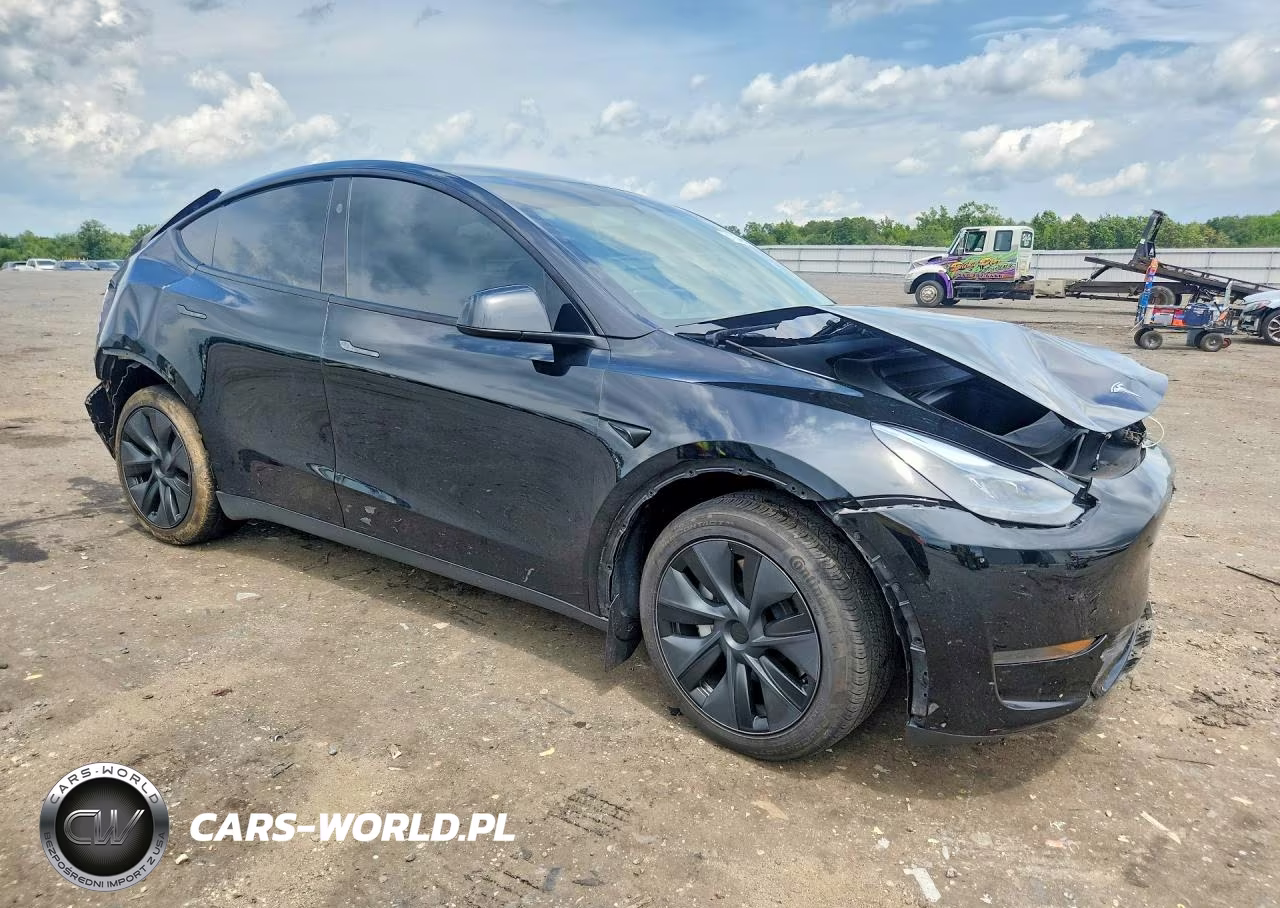 2025 Tesla Model Y VIN:7SAYGDEE2SF301273 - 4