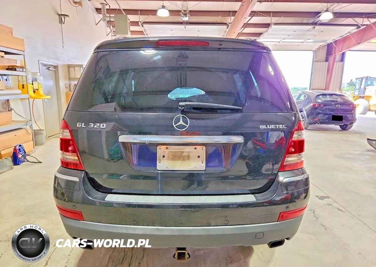 2009 Mercedes-Benz Gl VIN:4JGBF25E49A518218 - 6