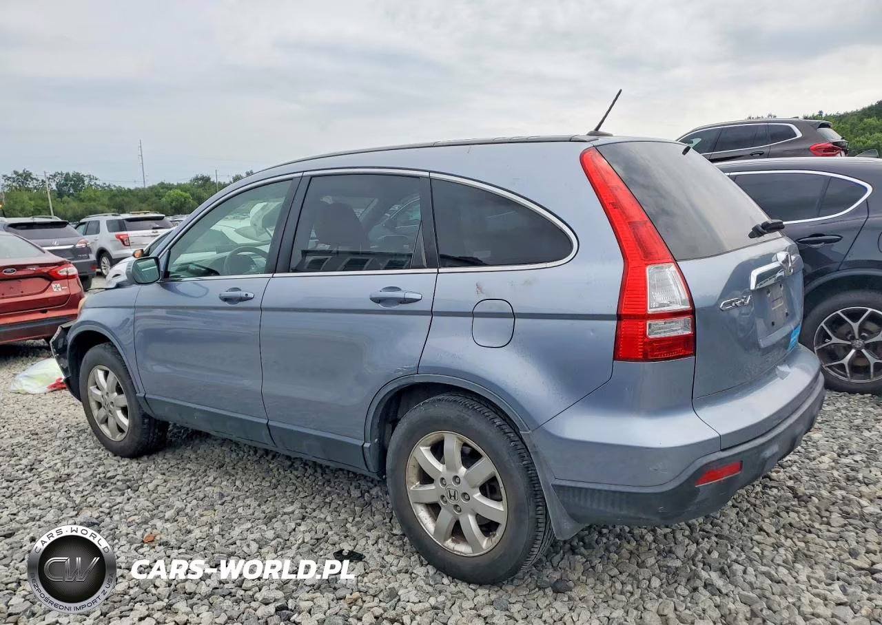 2008 Honda Cr-V Exl VIN:JHLRE487X8C039158 - 2