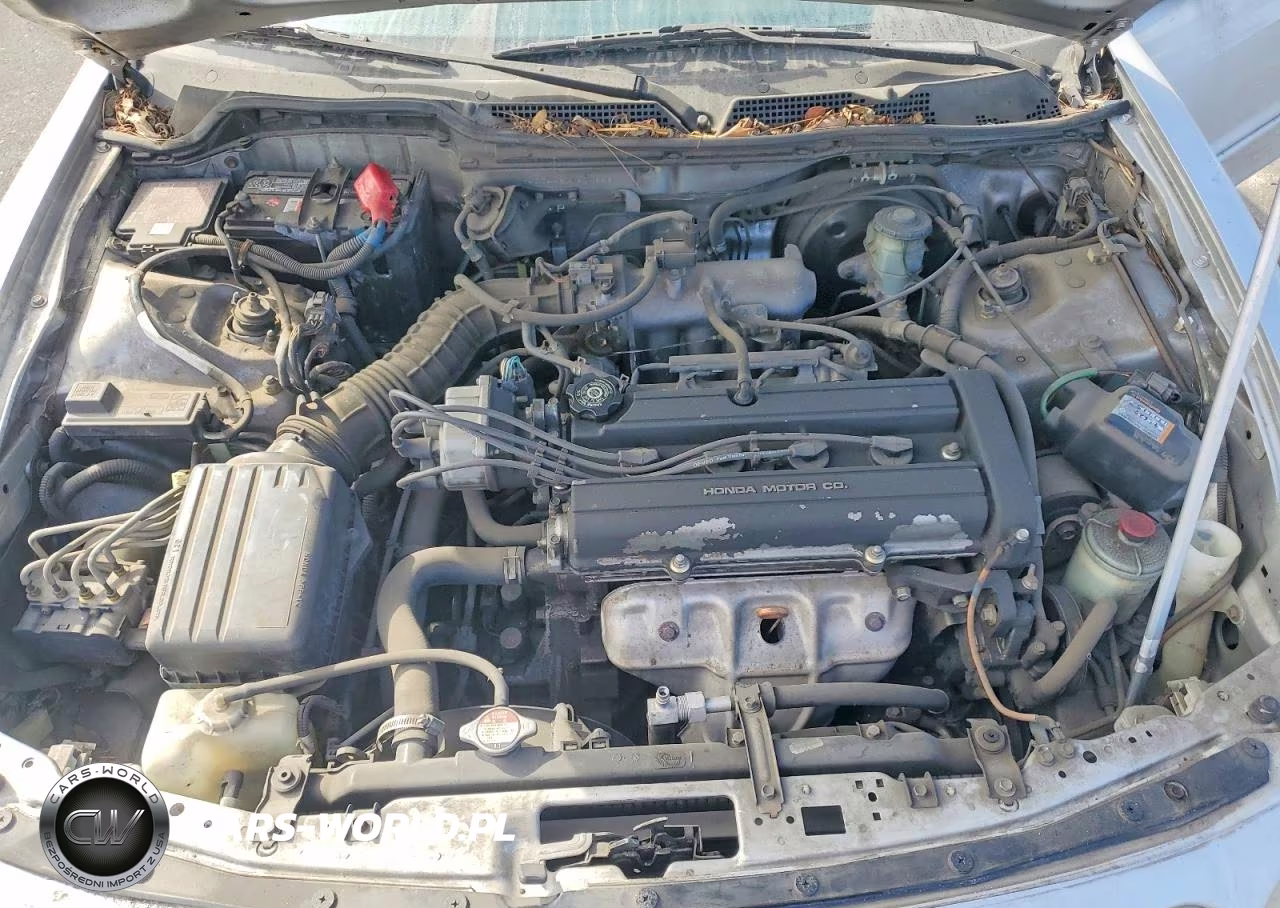 1998 Acura Integra Gs VIN:JH4DC4467WS008820 - 11