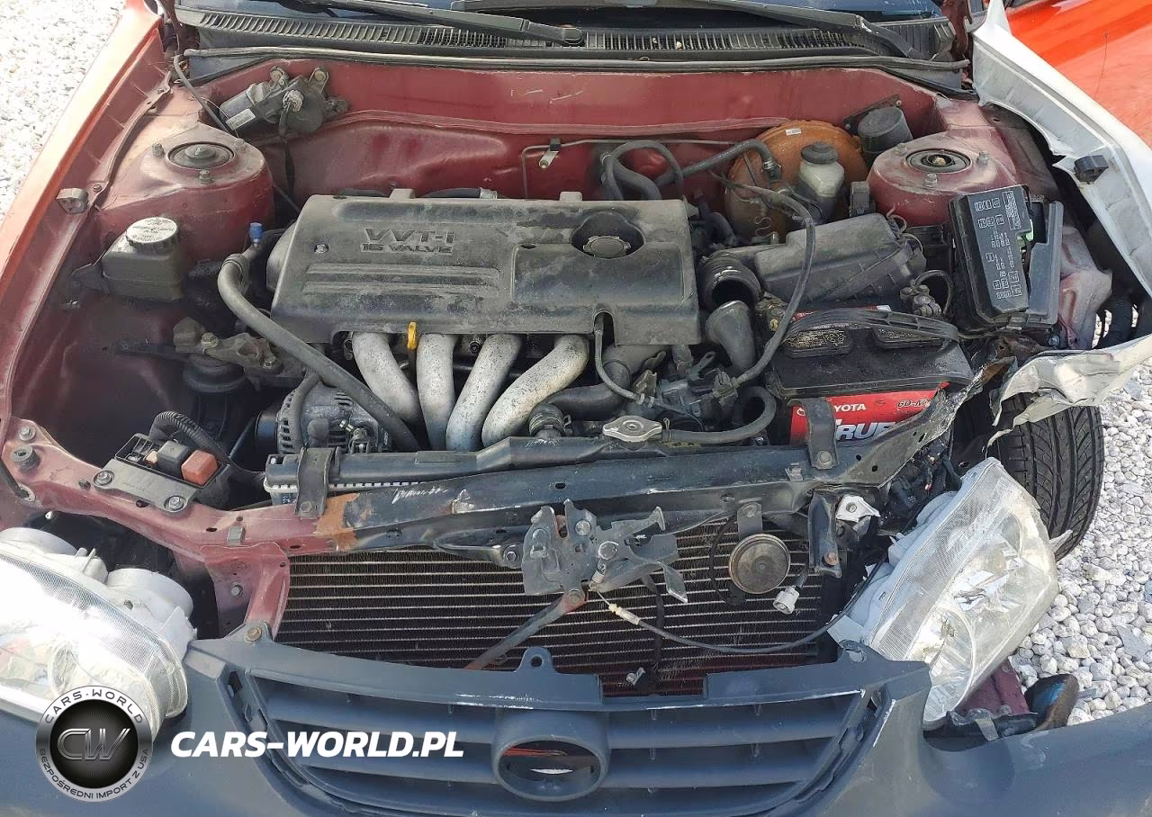2001 Toyota Corolla Ce VIN:1NXBR12E31Z518820 - 11