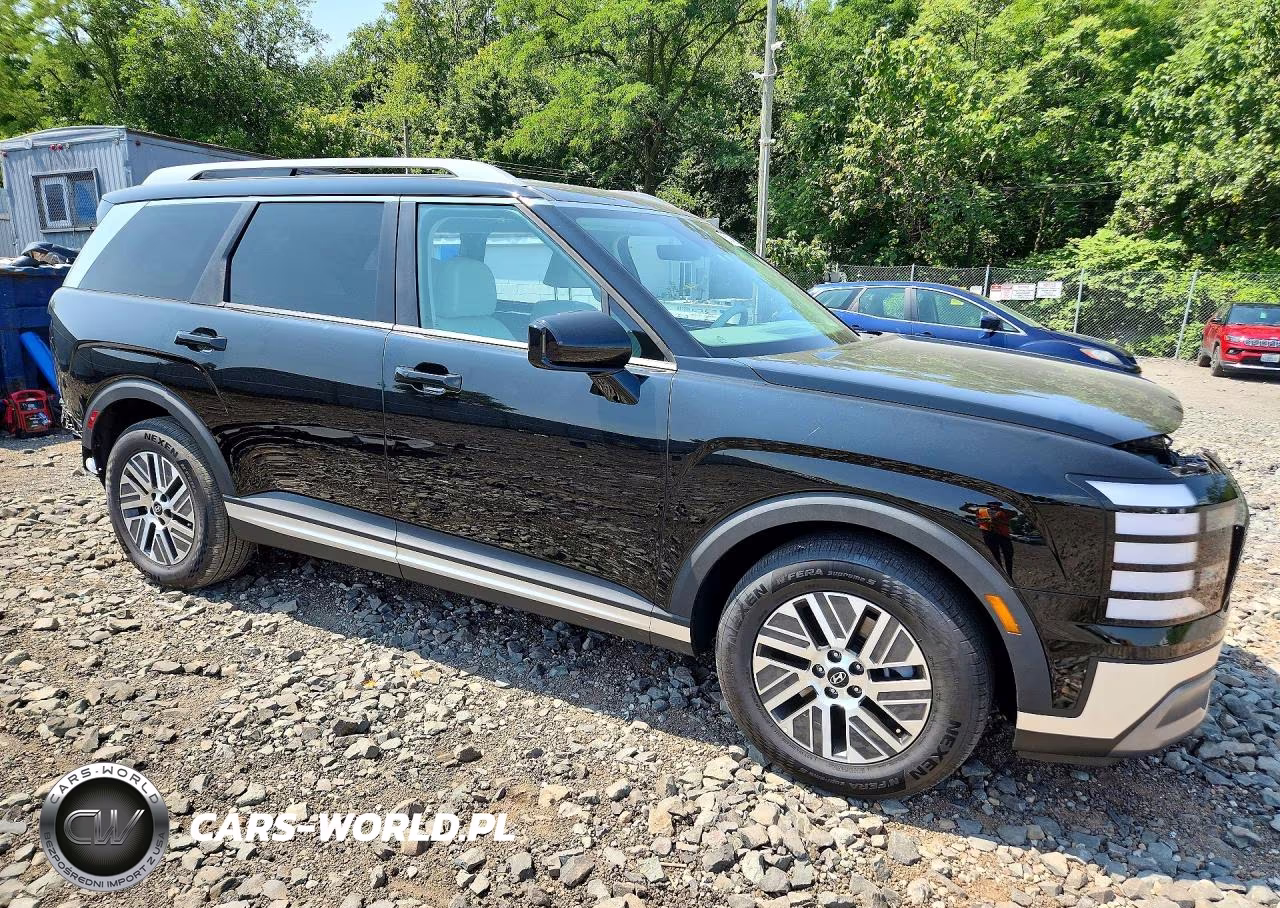 2026 Hyundai Palisade Sel VIN:KM8RLESA9TU082157 - 4