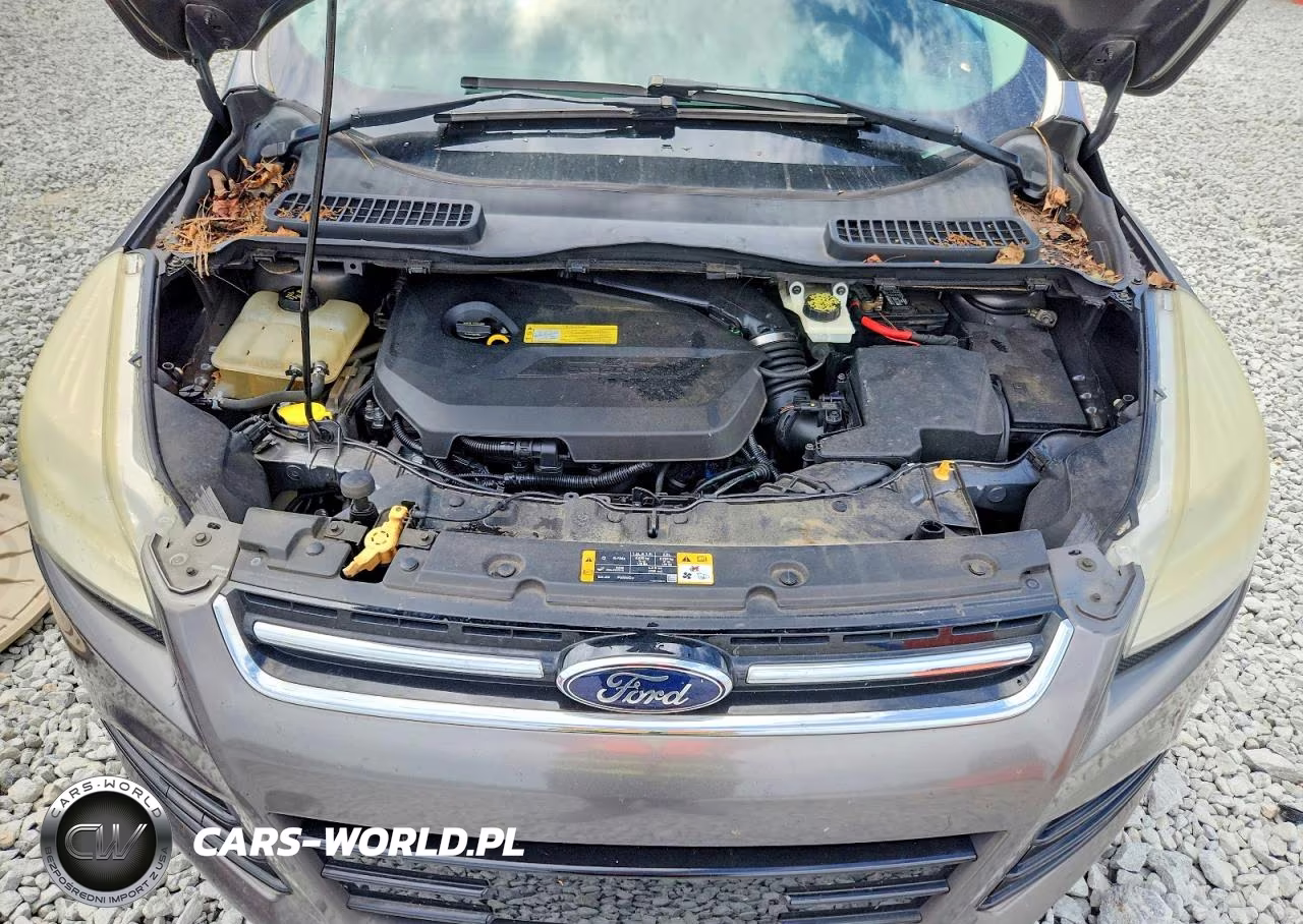 2013 Ford Escape Sel VIN:1FMCU0HX6DUB16865 - 12