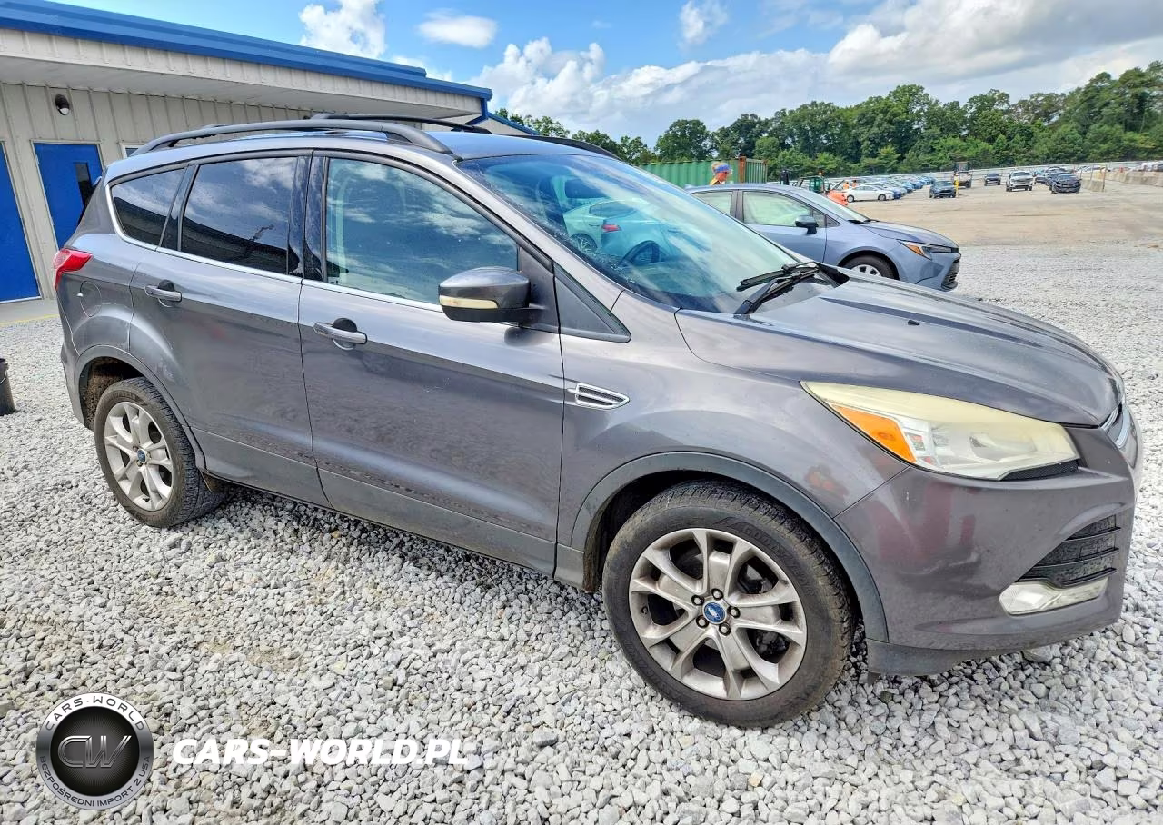 2013 Ford Escape Sel VIN:1FMCU0HX6DUB16865 - 4