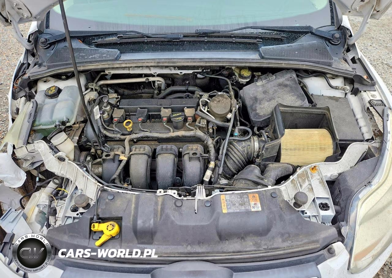 2014 Ford Focus Se VIN:1FADP3F24EL297972 - 11