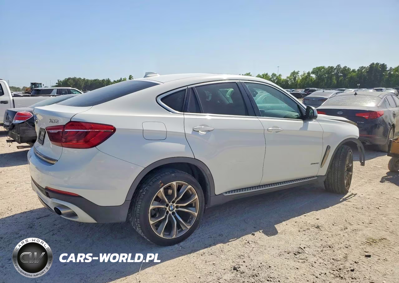 2016 BMW X6 Sdrive35I VIN:5UXKU0C52G0F92968 - 3