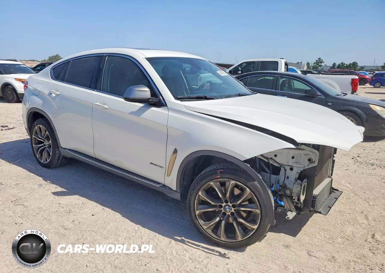 2016 BMW X6 Sdrive35I VIN:5UXKU0C52G0F92968 - 4