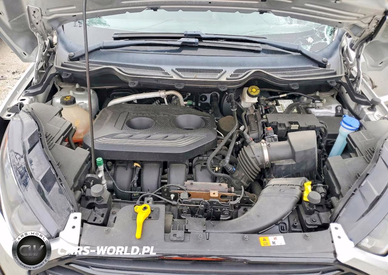 2021 Ford Ecosport Ses VIN:MAJ6S3JL9MC454966 - 12