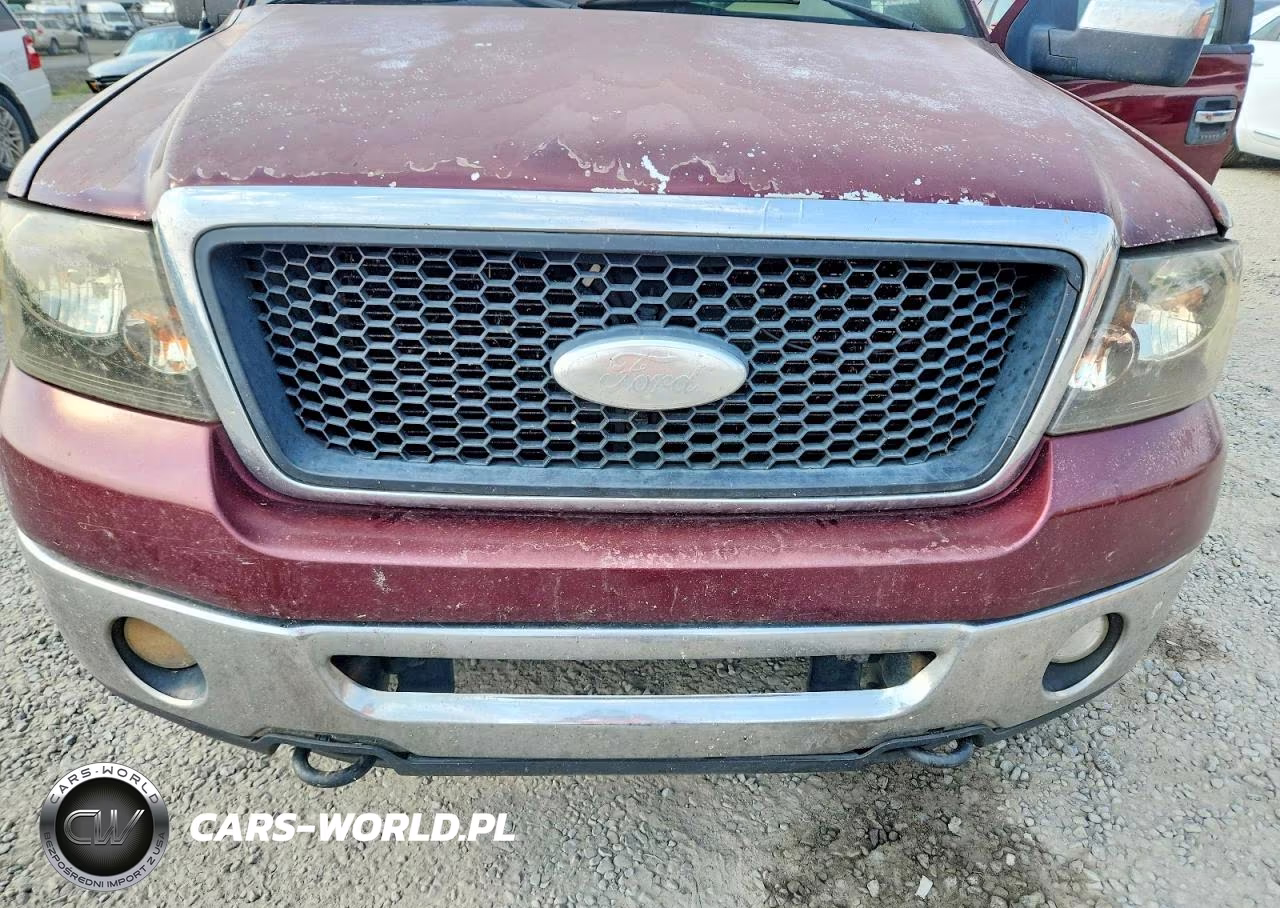 2006 Ford F150 Supercrew VIN:1FTPW14566FA73422 - 11