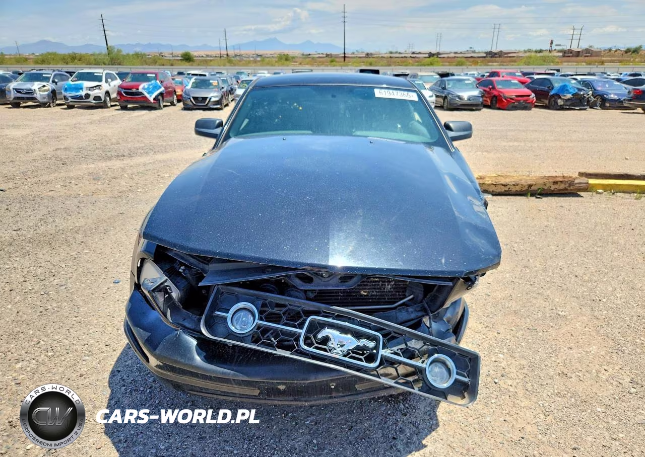 2008 Ford Mustang V6 Deluxe-V6 Premium VIN:1ZVHT80N485101770 - 5