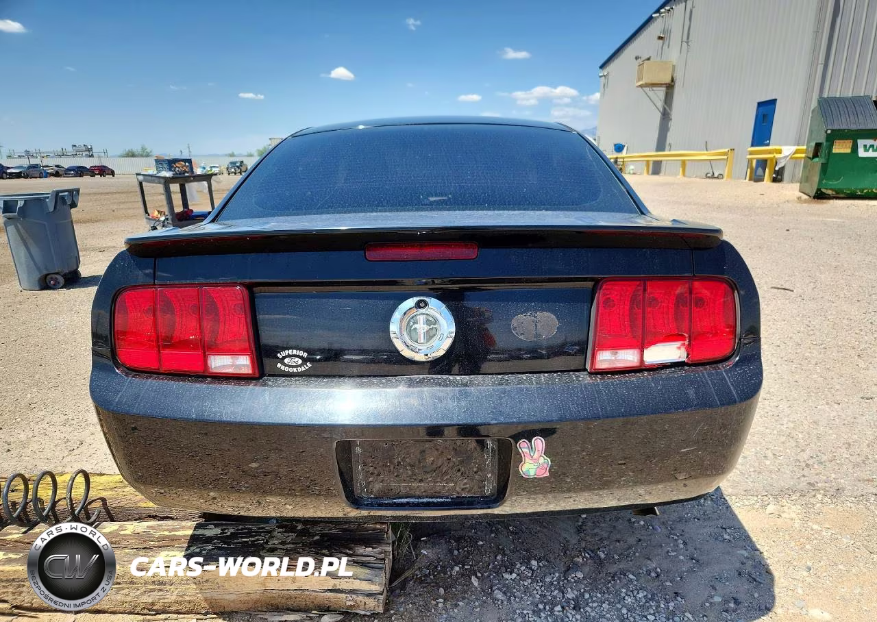 2008 Ford Mustang V6 Deluxe-V6 Premium VIN:1ZVHT80N485101770 - 6