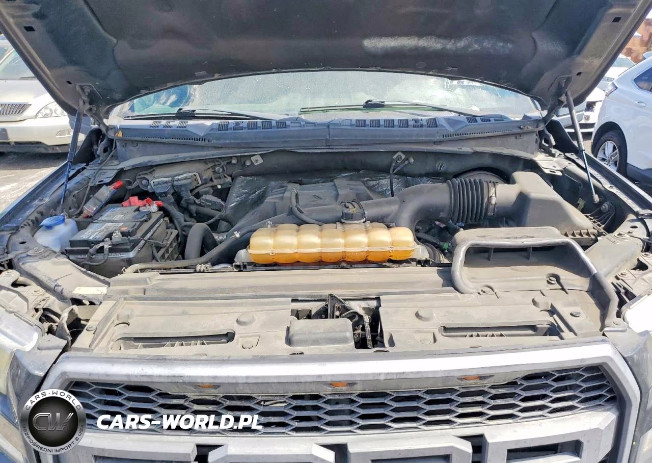 2016 Ford F150 Supercrew VIN:1FTEW1CP8GKE75249 - 11