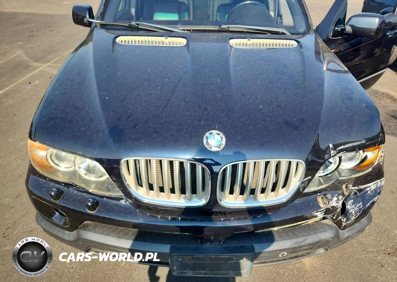 2004 BMW X5 4.4I VIN:5UXFB53594LV08463 - 11