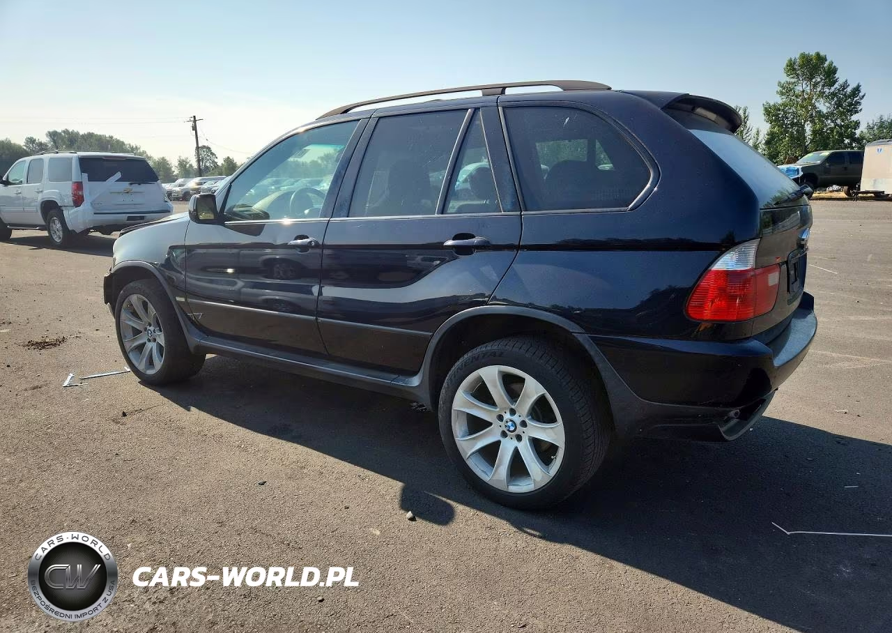 2004 BMW X5 4.4I VIN:5UXFB53594LV08463 - 2