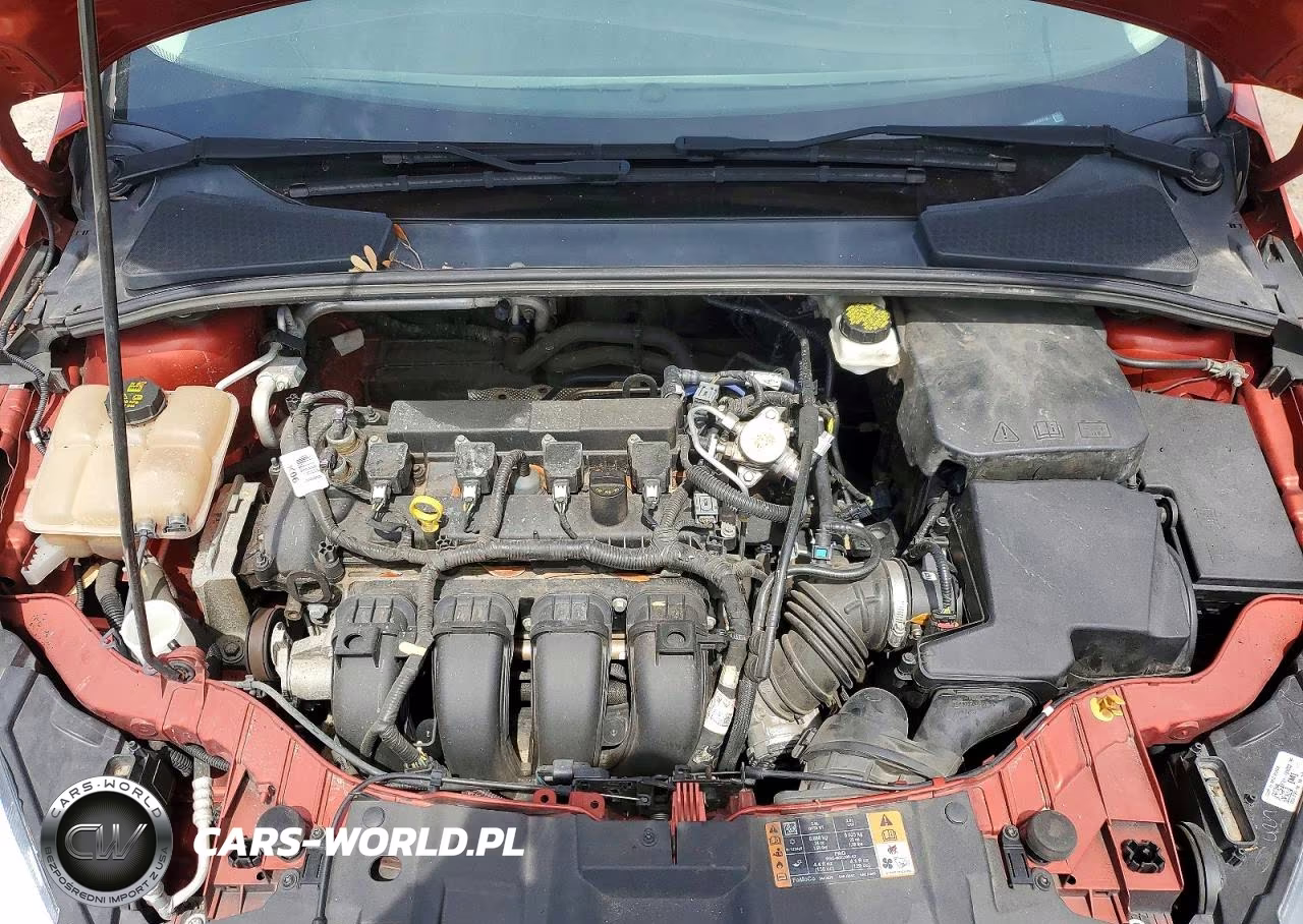 2018 Ford Focus Sel VIN:1FADP3H25JL279312 - 11