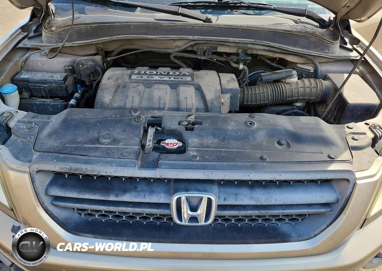 2005 Honda Pilot Exl VIN:5FNYF18605B014070 - 11