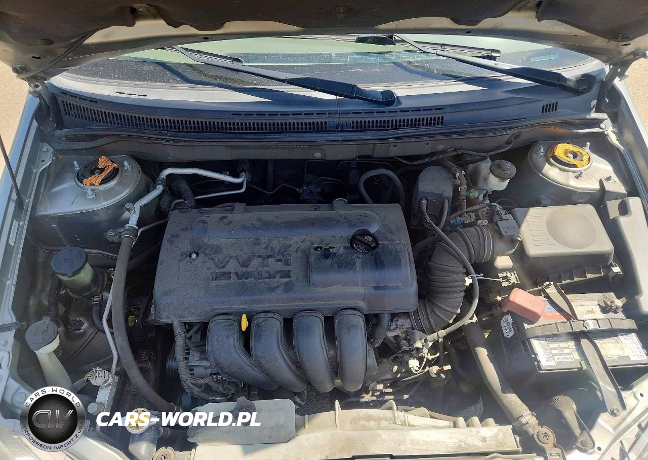 2003 Toyota Corolla Le VIN:JTDBR32E932016182 - 11