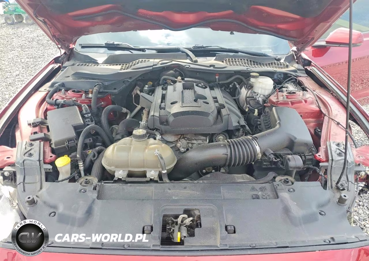 2018 FORD MUSTANG VIN:1FA6P8TH8J5175581 - 11
