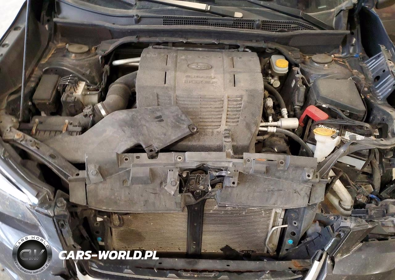 2019 Subaru Forester VIN:JF2SKACC4KH427945 - 12