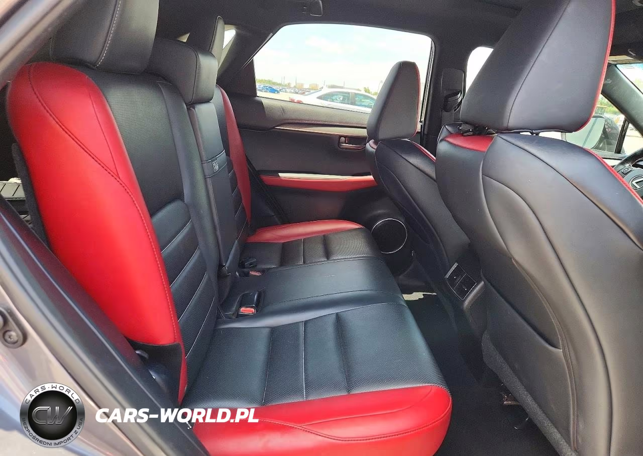 2018 Lexus Nx 300 F Sport VIN:JTJYARBZ8J2087570 - 10