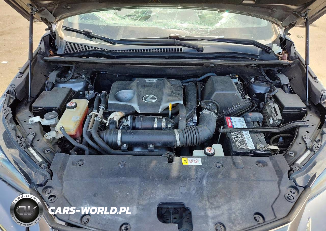 2018 Lexus Nx 300 F Sport VIN:JTJYARBZ8J2087570 - 11