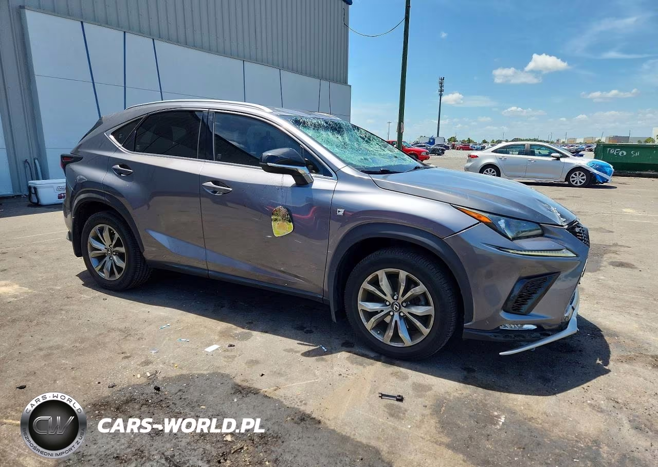 2018 Lexus Nx 300 F Sport VIN:JTJYARBZ8J2087570 - 4