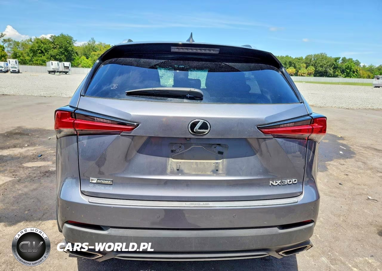 2018 Lexus Nx 300 F Sport VIN:JTJYARBZ8J2087570 - 6