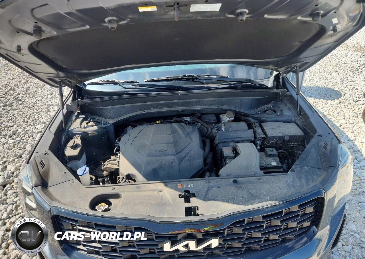 2022 Kia Telluride Ex VIN:5XYP3DHC3NG263063 - 12