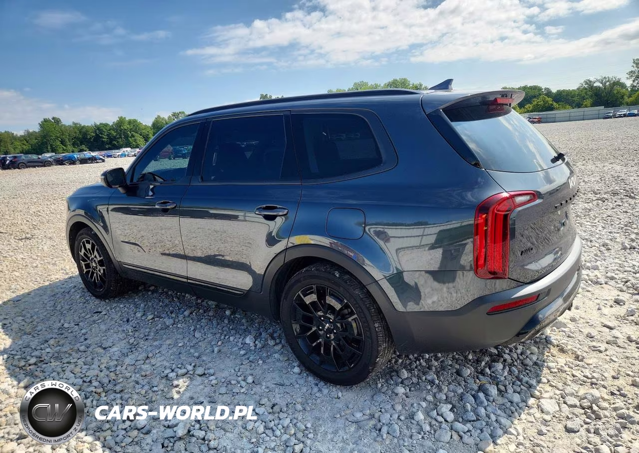 2022 Kia Telluride Ex VIN:5XYP3DHC3NG263063 - 2