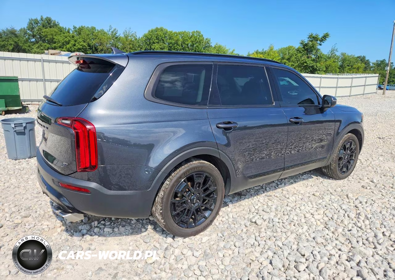 2022 Kia Telluride Ex VIN:5XYP3DHC3NG263063 - 3