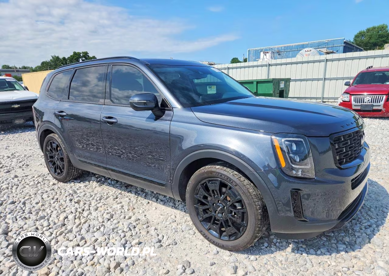 2022 Kia Telluride Ex VIN:5XYP3DHC3NG263063 - 4