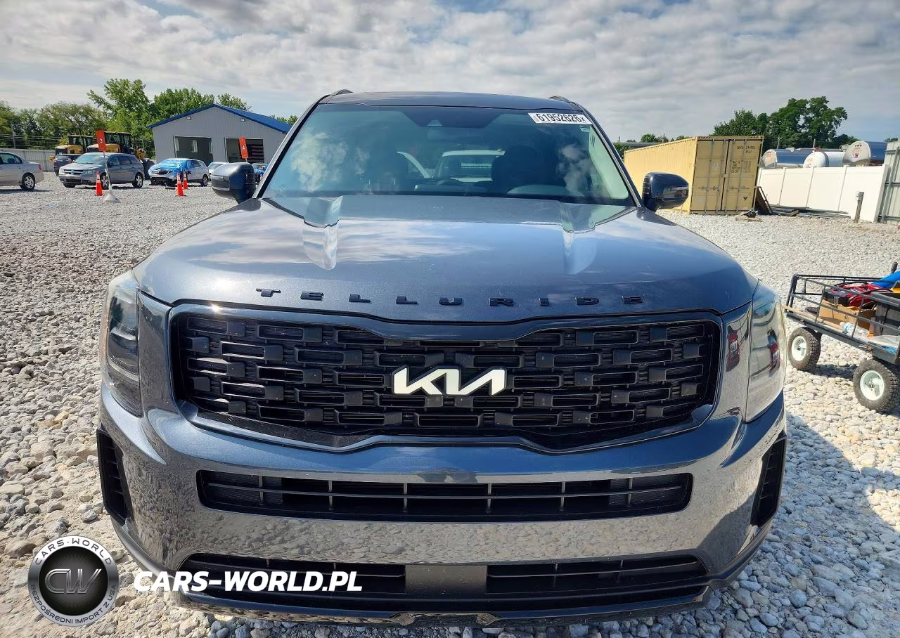2022 Kia Telluride Ex VIN:5XYP3DHC3NG263063 - 5