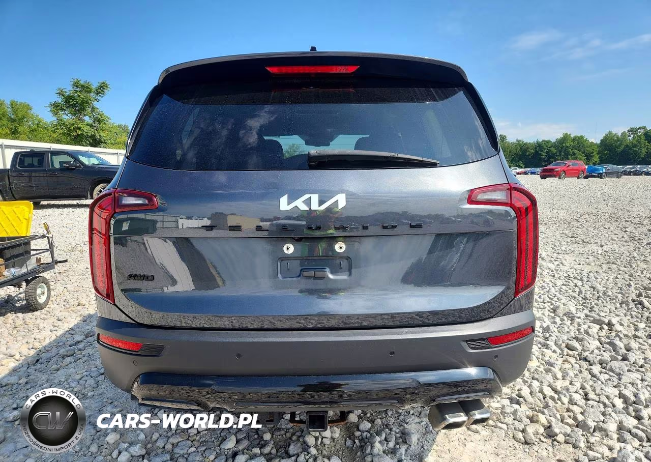 2022 Kia Telluride Ex VIN:5XYP3DHC3NG263063 - 6