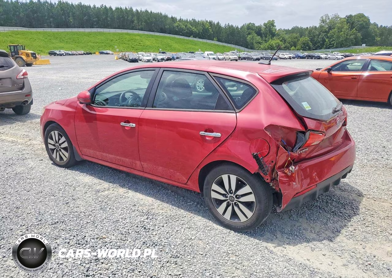 2013 Kia Forte Ex VIN:KNAFU5A26D5664689 - 2