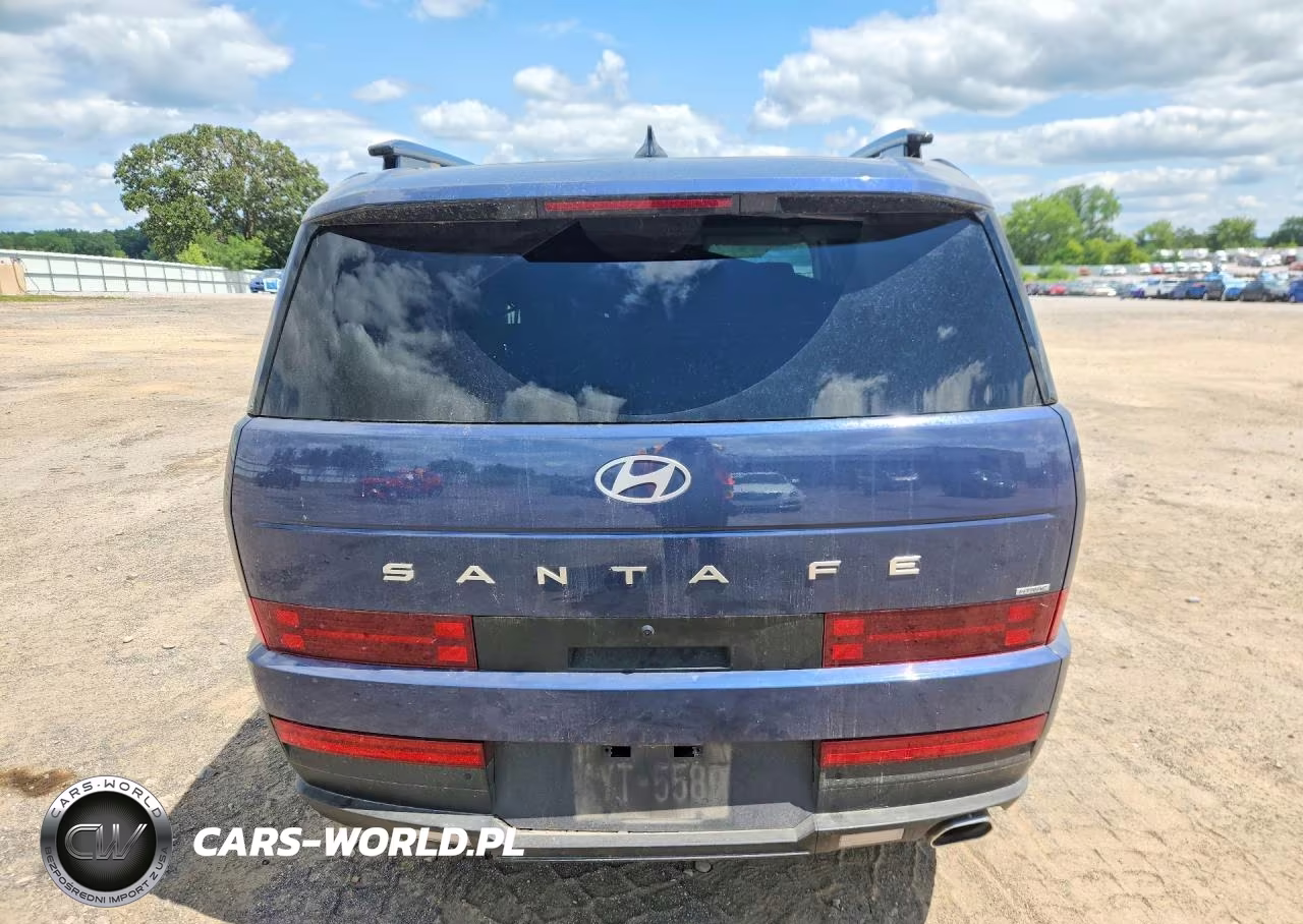 2025 Hyundai Santa Fe Sel VIN:5NMP2DGL1SH072201 - 6
