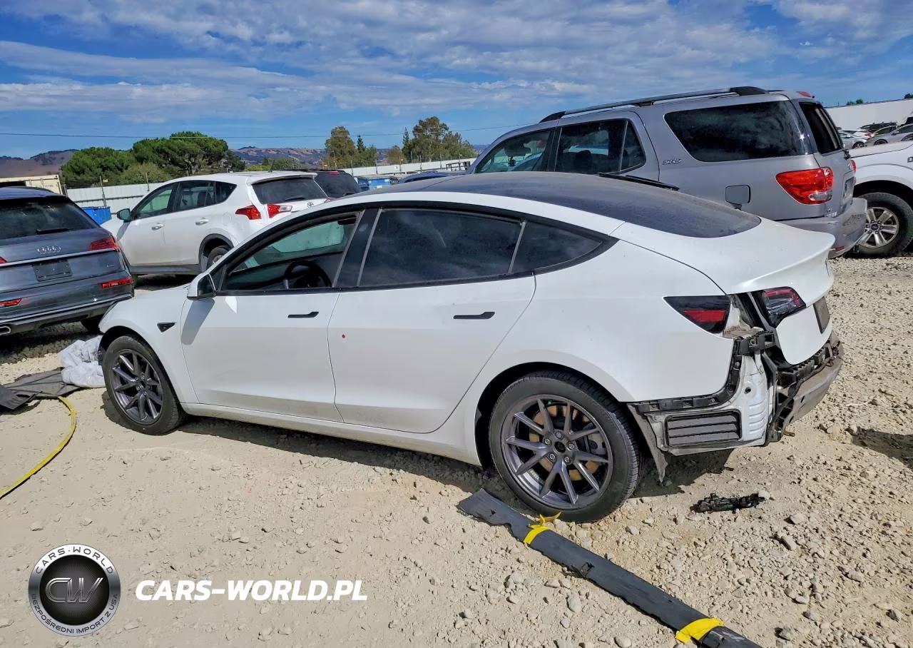 2021 Tesla Model 3 VIN:5YJ3E1EA1MF052136 - 2