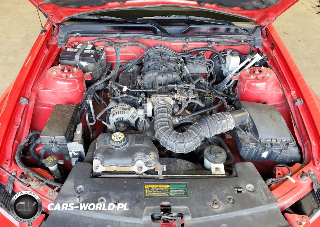 2009 Ford Mustang VIN:1ZVHT84N195108011 - 11