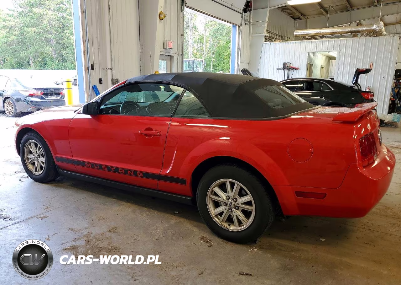 2009 Ford Mustang VIN:1ZVHT84N195108011 - 2