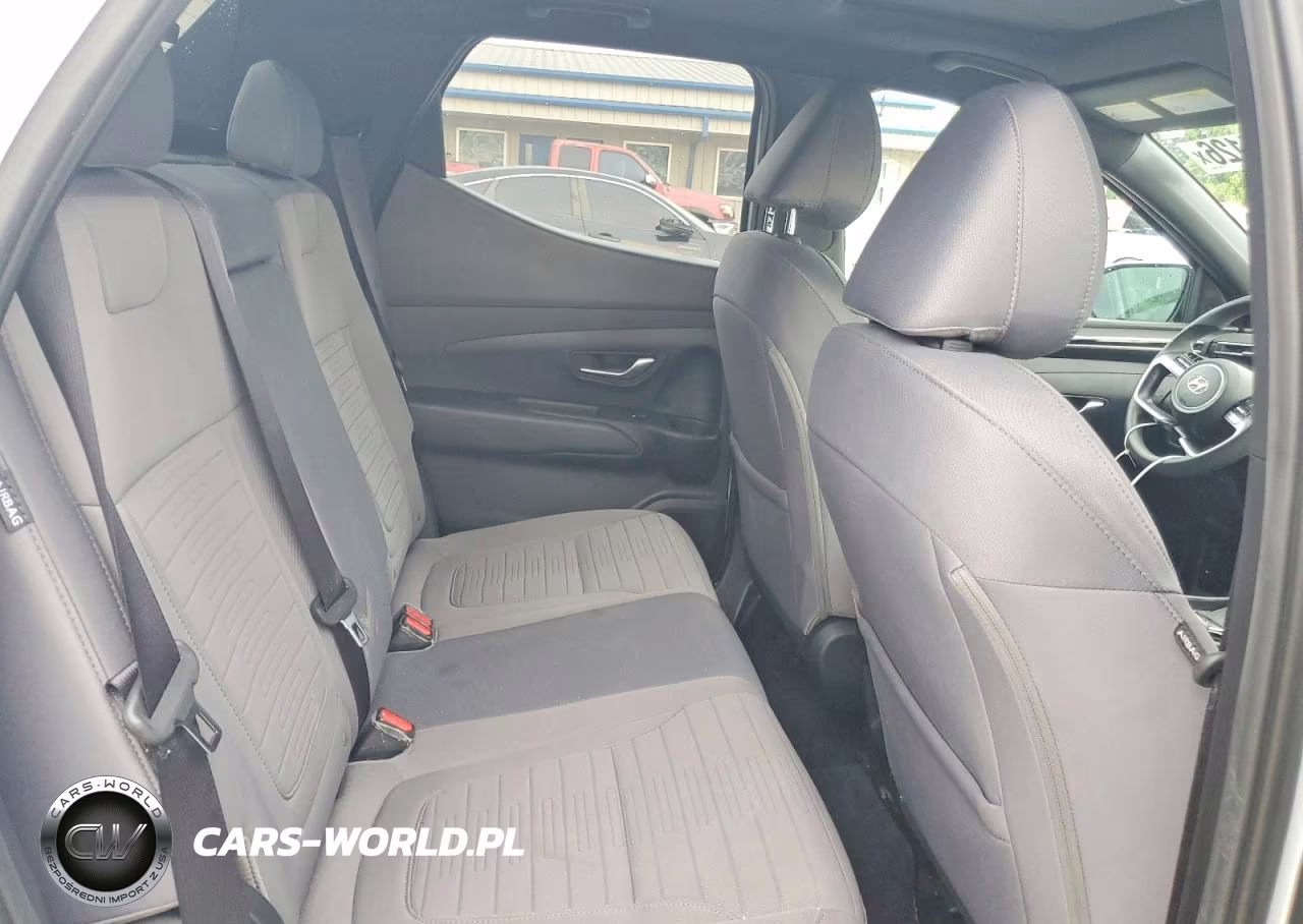 2024 Hyundai Santa Cruz Sel VIN:5NTJCDDE3RH105058 - 10