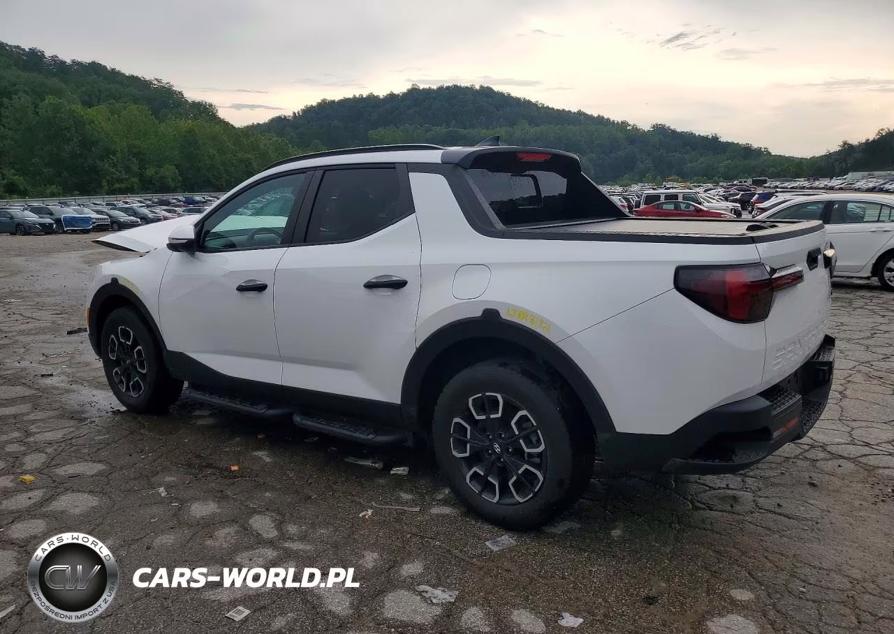 2024 Hyundai Santa Cruz Sel VIN:5NTJCDDE3RH105058 - 2