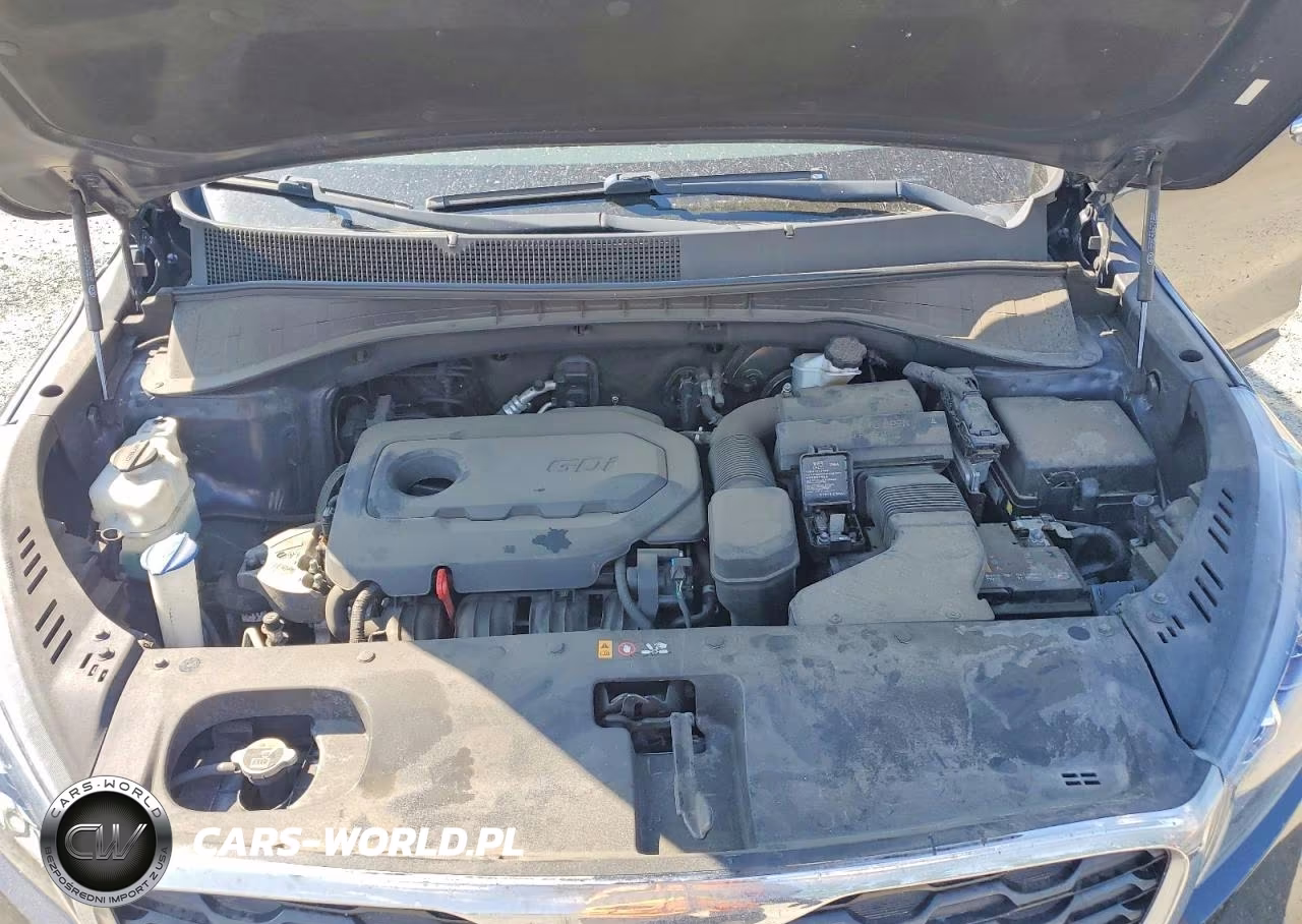 2019 Kia Sorento Lx VIN:5XYPGDA34KG541026 - 12