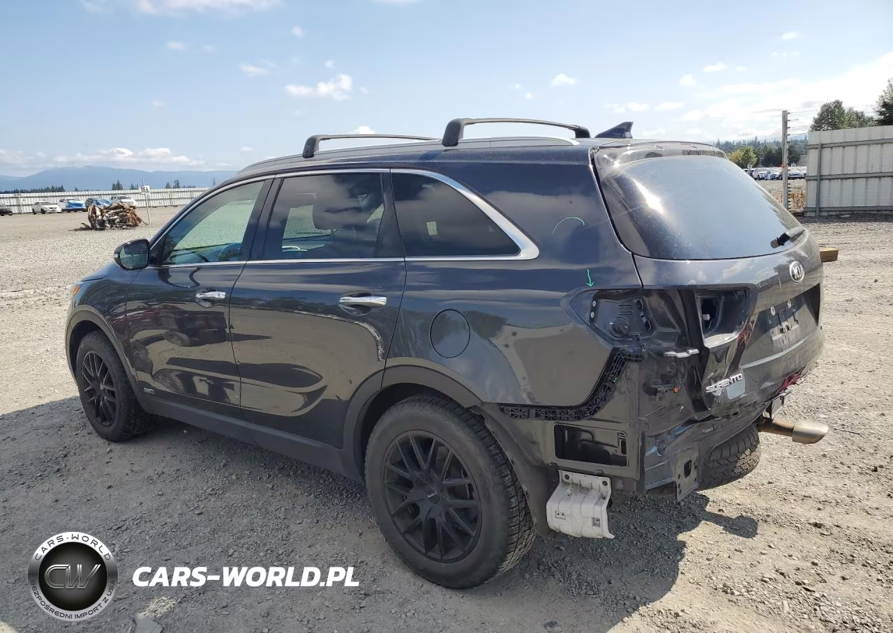 2019 Kia Sorento Lx VIN:5XYPGDA34KG541026 - 2