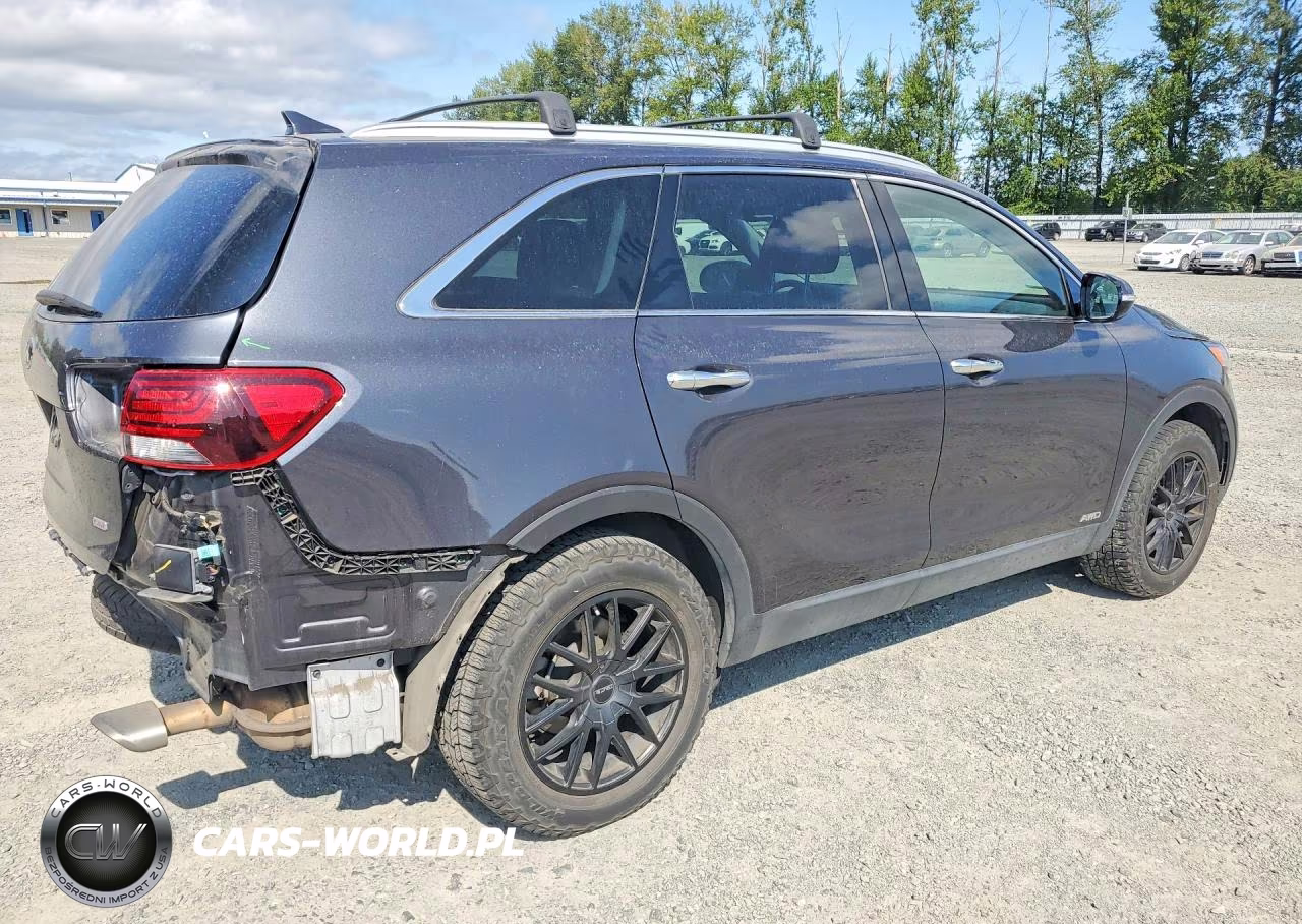 2019 Kia Sorento Lx VIN:5XYPGDA34KG541026 - 3